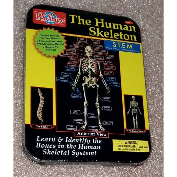 The Human Skeleton Learn & Identify the Bones T.S. Shure in Tin Case New Sealed - Picture 3 of 7